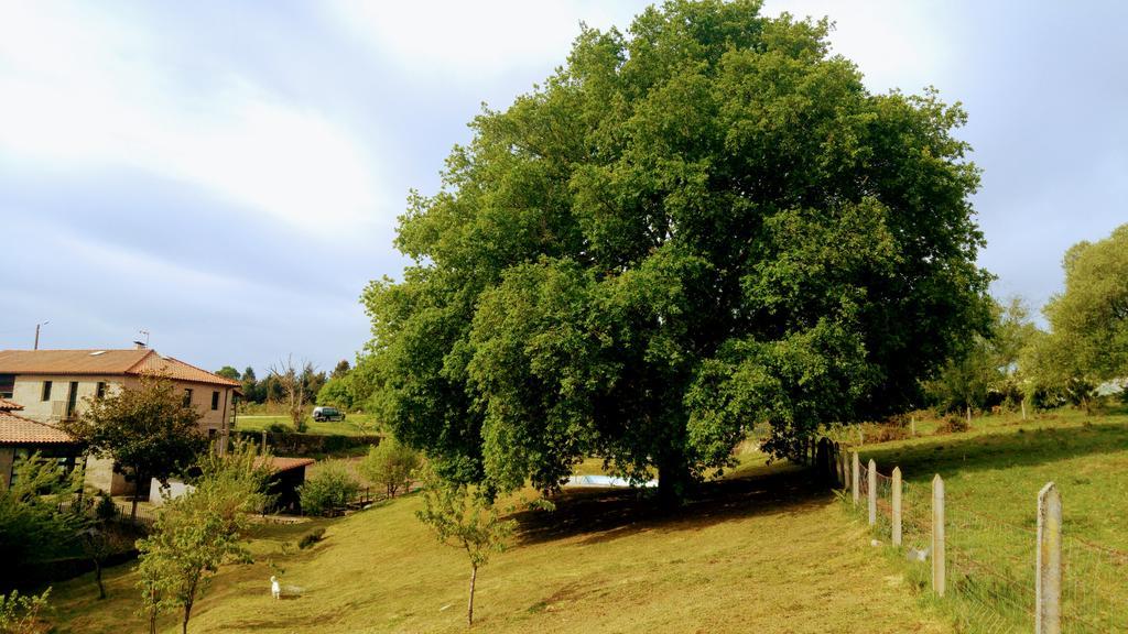 Caserio De Fontes Nogueira De Ramuin Dış mekan fotoğraf